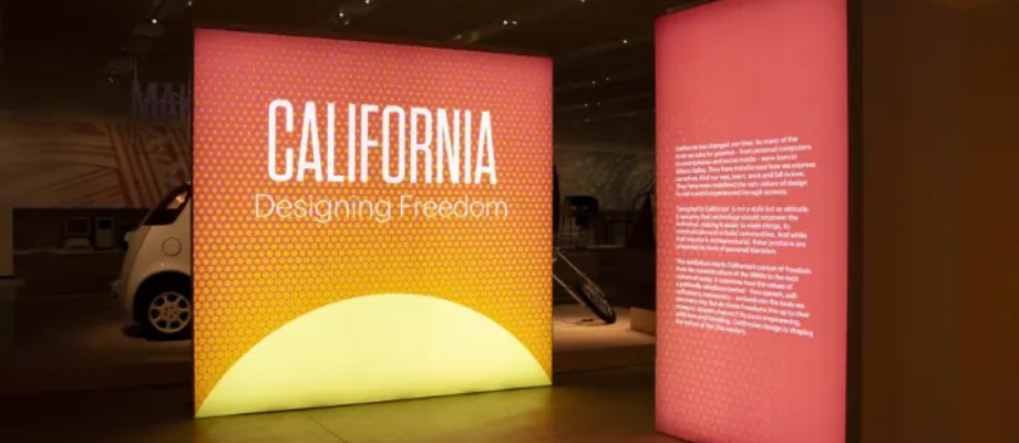 Pencil-drawn image of a zebra against a snowy backdrop